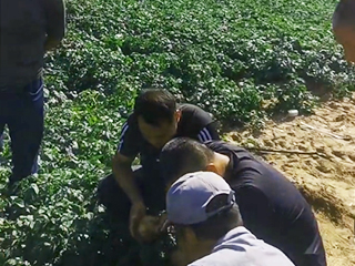 实验田观摩产品